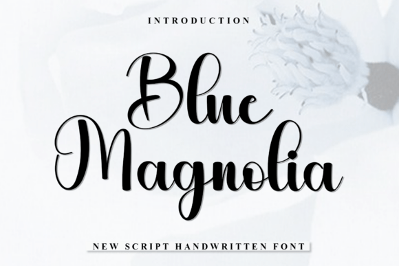 Blue Magnolia: A Warm, Playful Script Font for Human-Centered Branding
