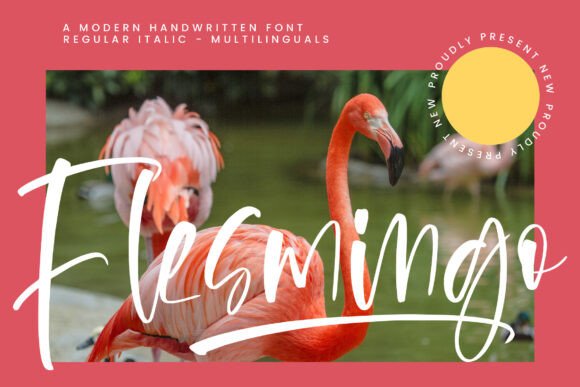 Flesmingo: A Refined Script Font for Thoughtful Branding