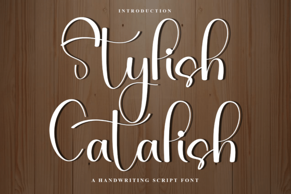 Stylish Catalish: A Festive Script Font That Lifts Your Brand